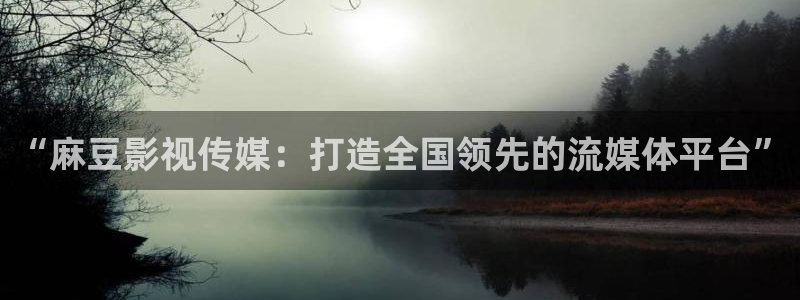 麥田影院最新版本下載：“麻豆影視傳媒：打造全國領(lǐng)先的流媒體平臺”