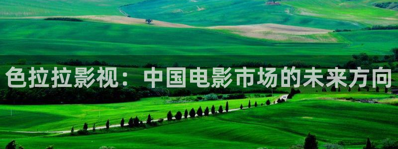 麥田影視官方網(wǎng)站入口：色拉拉影視：中國電影市場的未來方向